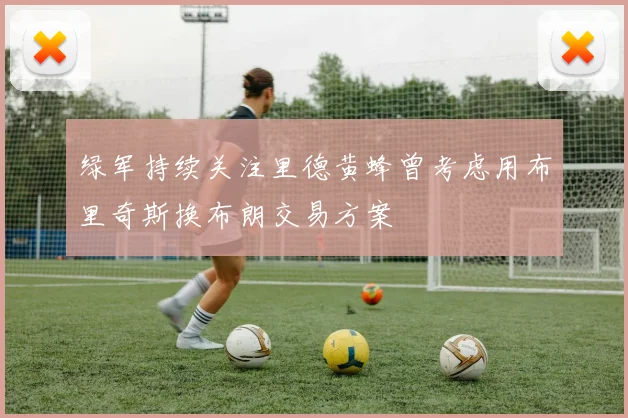 绿军持续关注里德黄蜂曾考虑用布里奇斯换布朗交易方案